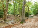 Gemenos - parc St Pons_58