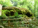 Gemenos - parc St Pons_59
