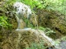Gemenos - parc St Pons_60