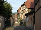 ALSACE_19