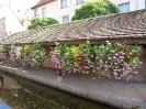 ALSACE_19